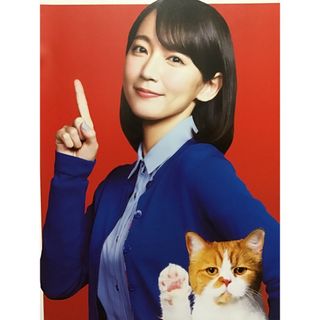 吉岡里帆　★Y！mobile期間限定総合カタログ　★A4サイズ　★新品・非売品(女性タレント)