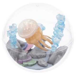 すみだ水族館限定　カプリウムコレクション　クラゲ　タコクラゲ(その他)
