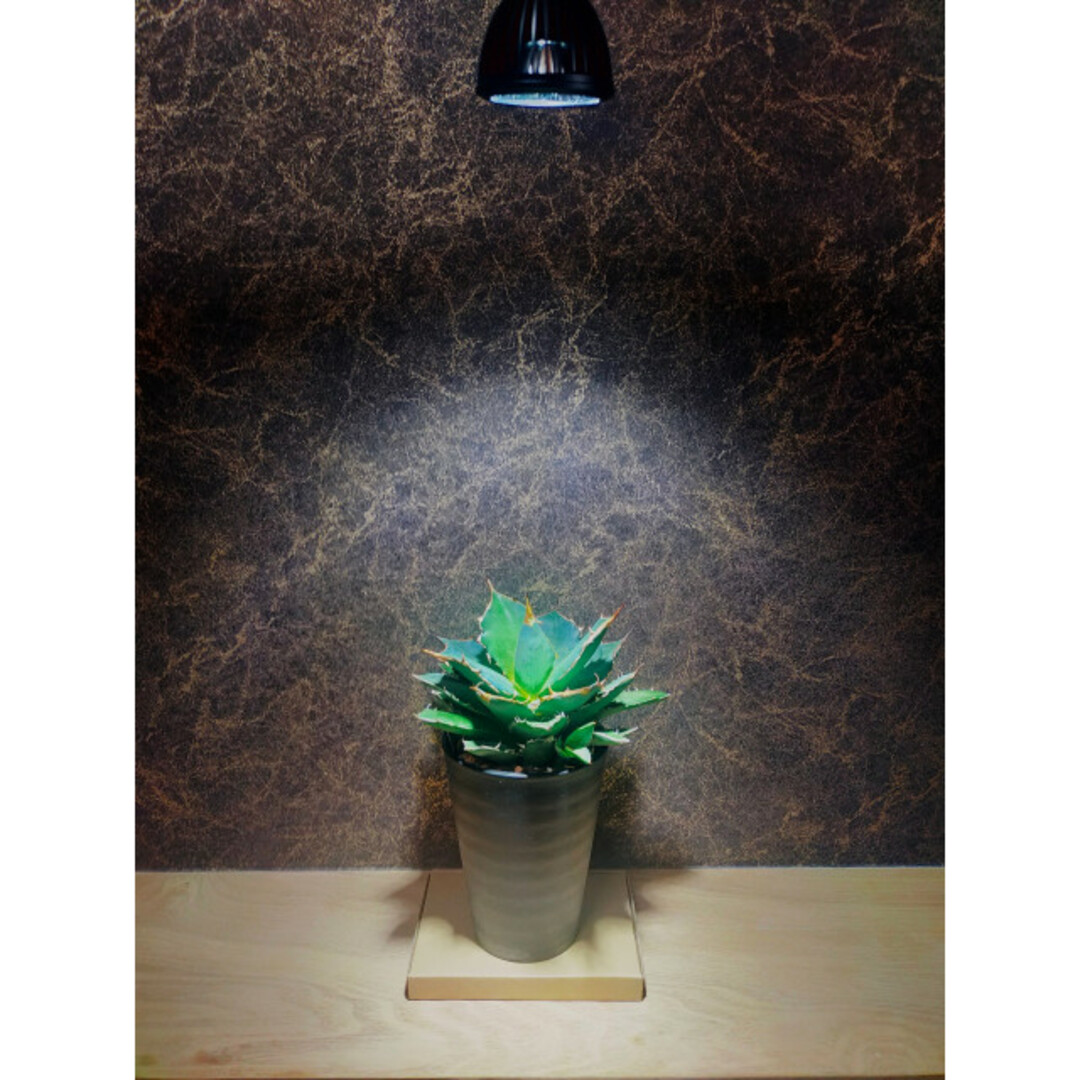 植物育成ライト 10W 5800K 5個 白色 太陽光 フルスペクトルLED 植物育成ライト 10W 5800K 5個 白色 太陽光 フルスペクトルLED