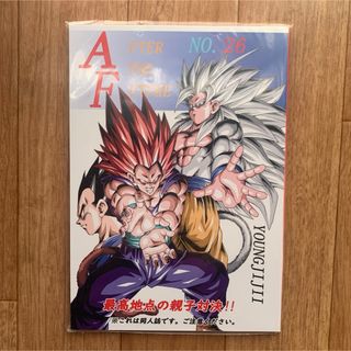 貴重！ ドラゴンボールAF 26巻 ヤングじじい DBAF 同人誌 コミケ(少年漫画)