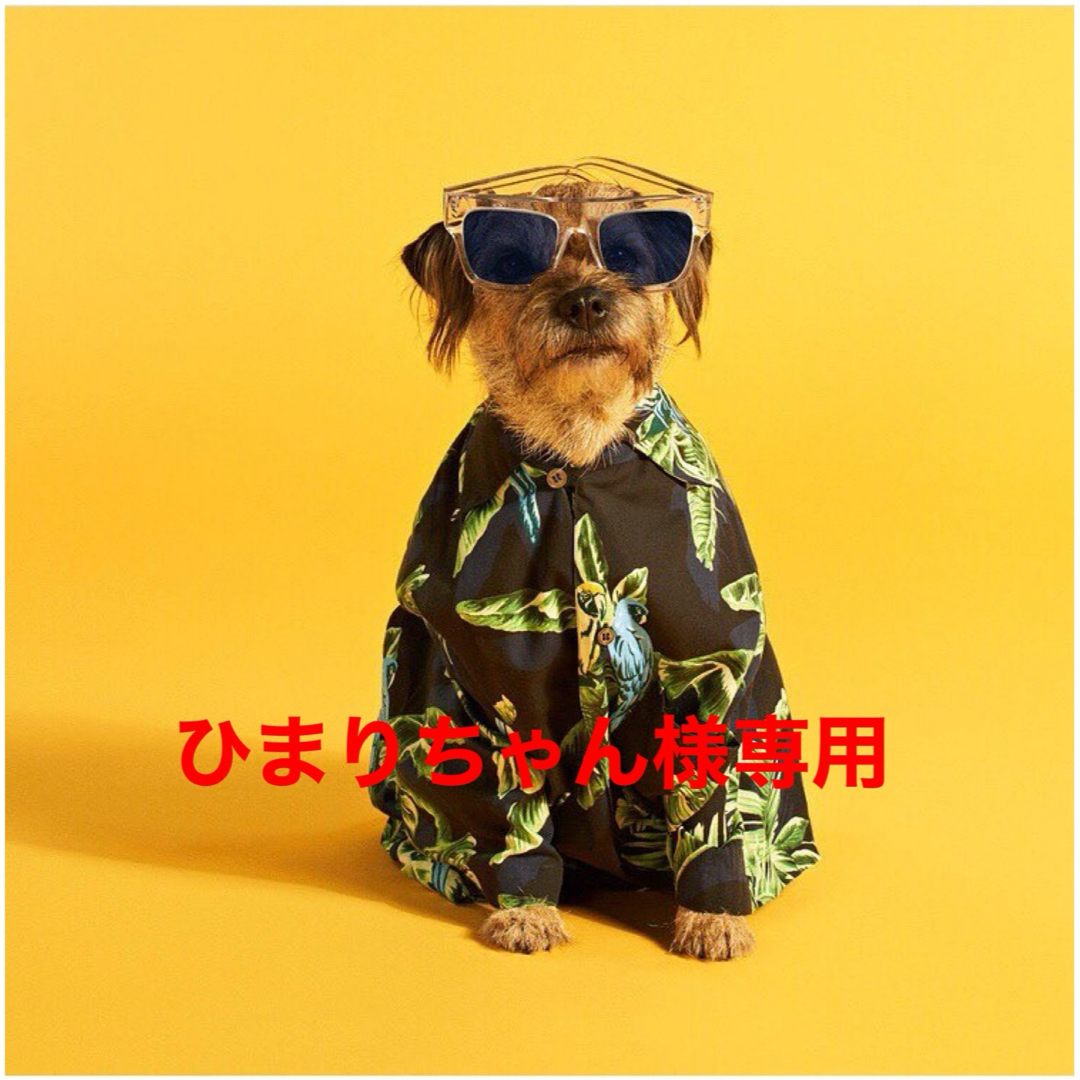 アマトラメゾフォルテヘアバス1000mlレスキューパック詰替用 アマトラメゾフォルテヘアバス1000mlレスキューパック詰替用