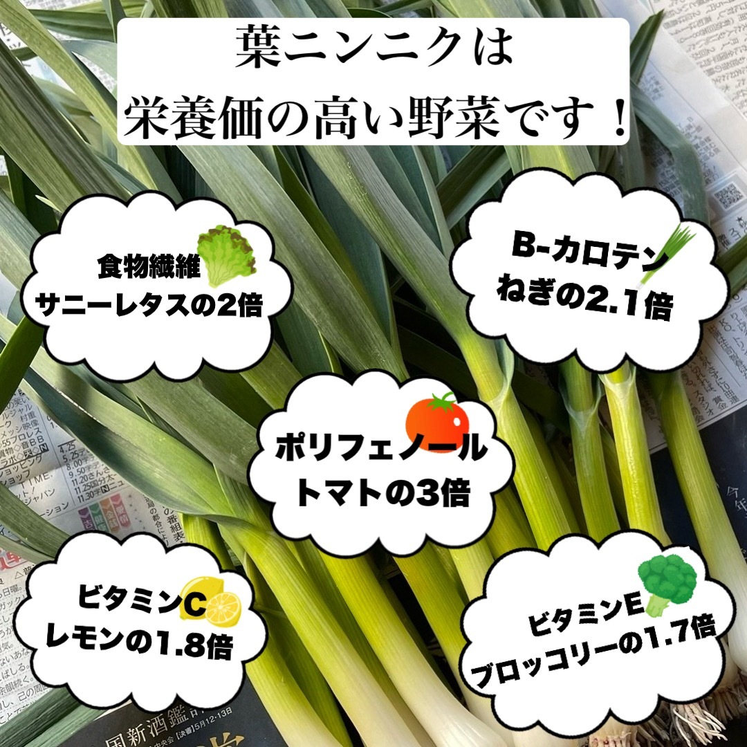 農家直送】高知県特産‼️葉ニンニク 400g 即購入OK wOeの通販 by 農家直送】高知県特産‼️葉ニンニク 400g 即購入OK wOeの通販 by