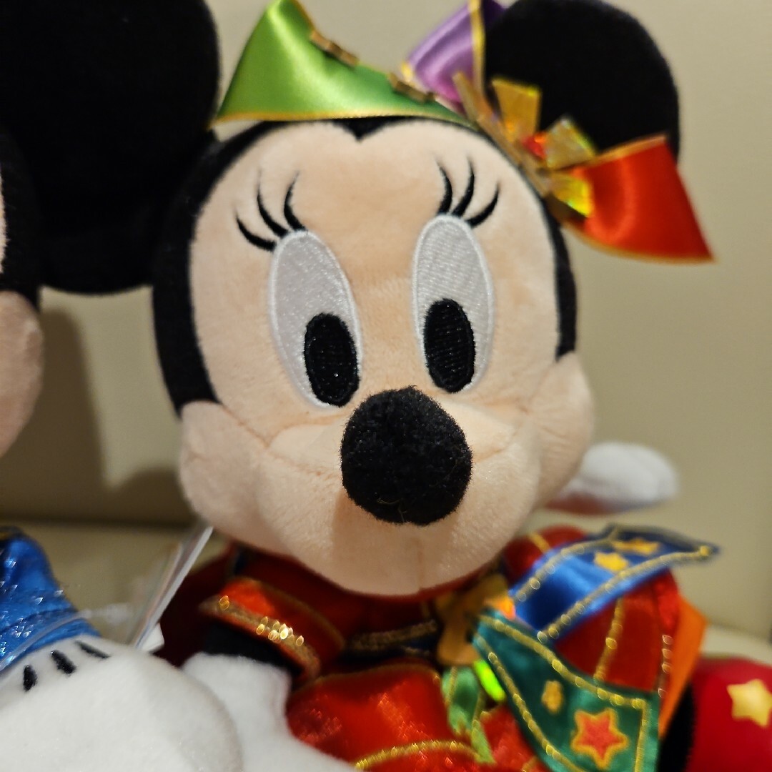 ぬいぐるみ ディズニーランド ミニー ミッキー グランド ぬいぐるみ ディズニーランド ミニー ミッキー グランド