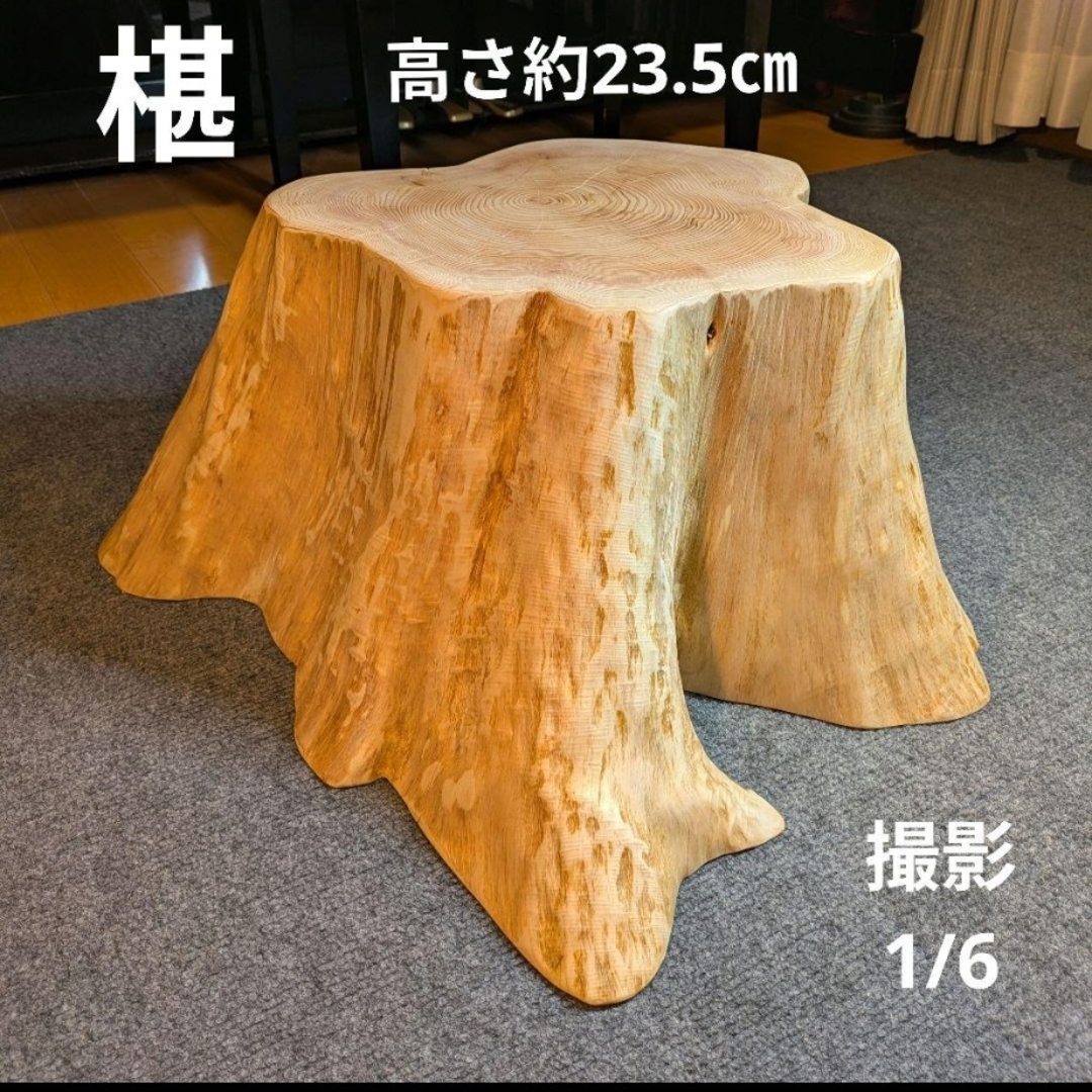 天然椹 サワラ 切り株 丸太 椅子 スツール テーブル 高さ約23.5㎝ 天然椹 サワラ 切り株 丸太 椅子 スツール テーブル 高さ約23.5㎝