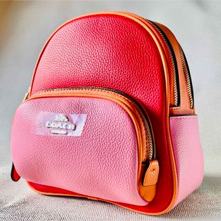 COACH(ピンク/桃色系)のフリマアイテム一覧 COACH(ピンク/桃色系)のフリマアイテム一覧