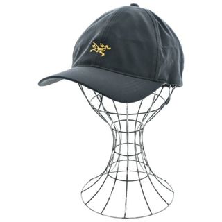 Paper & Ink Cotton Club アークテリクスヤンキースキャップ - 帽子 Paper & Ink Cotton Club アークテリクスヤンキースキャップ - 帽子