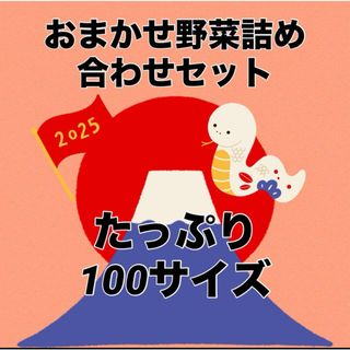 8日発送‼️お楽しみ野菜セット‼️(野菜)