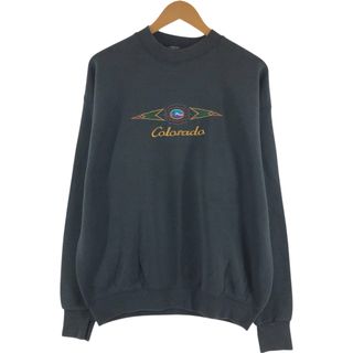 フルーツオブザルーム(FRUIT OF THE LOOM)の古着 90年代 フルーツオブザルーム FRUIT OF THE LOOM スウェットシャツ トレーナー USA製 メンズXL相当 ヴィンテージ /eaa468099(スウェット)