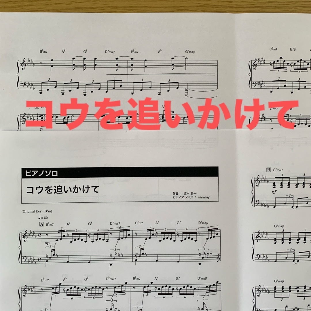ピアノ楽譜 コウを追いかけて 中級〜上級 エンタメ/ホビーの本(楽譜)の商品写真