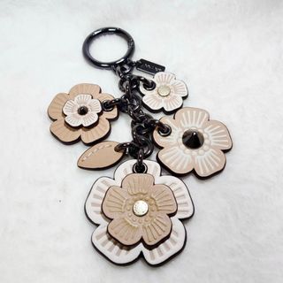 COACH - COACH(コーチ)バックチャーム 新品 りんご COACH - COACH(コーチ)バックチャーム 新品 りんご