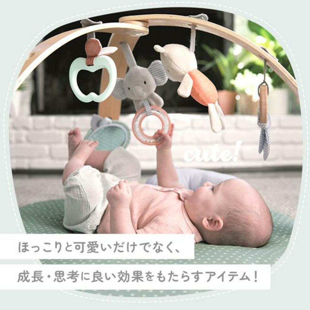 コージースポット リバーシブルジム