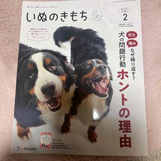 ベネッセ(Benesse)のいぬのきもち 2025年2月号(犬)