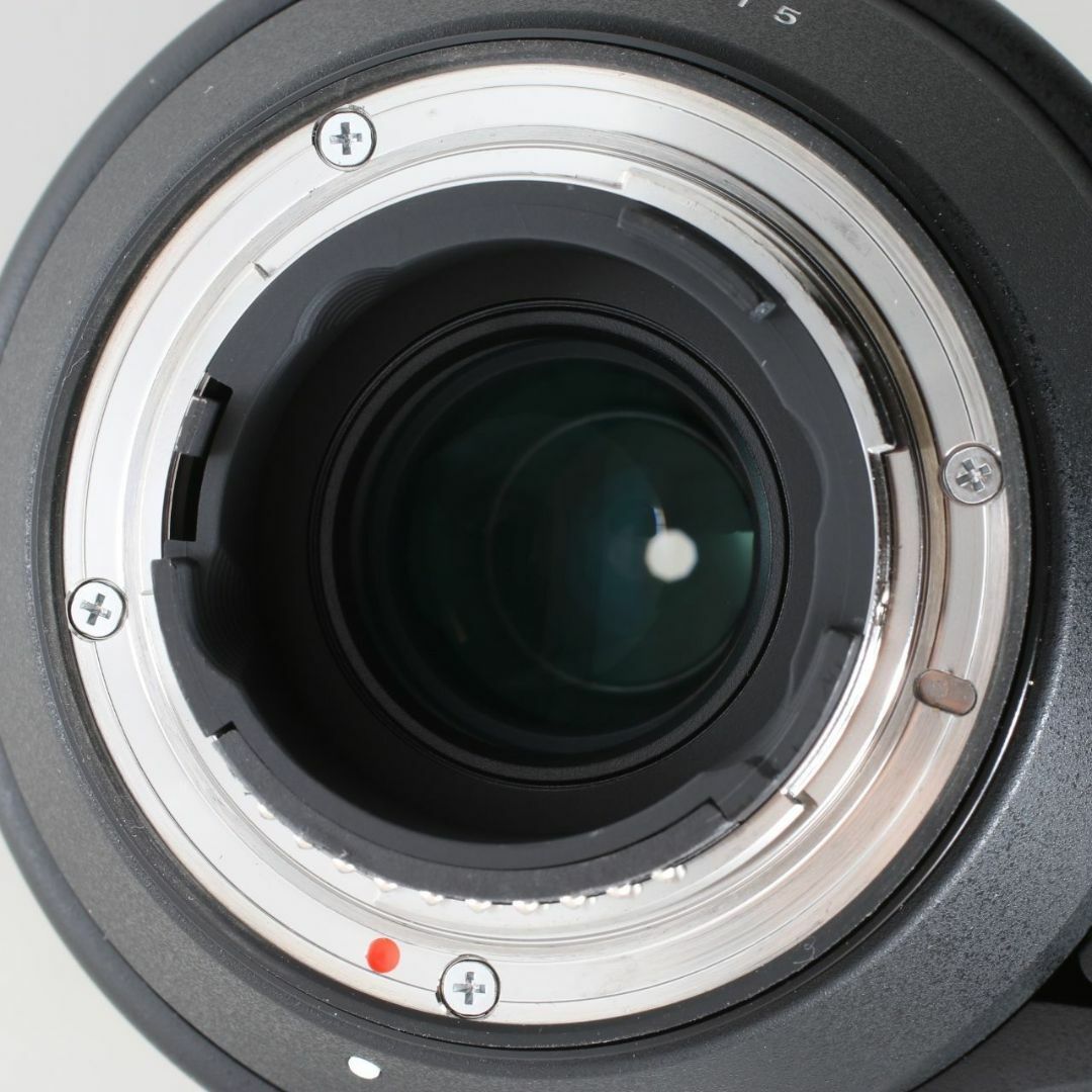 SIGMA 150-600 5-6.3 DG OS HSM テレコン バーター SIGMA 150-600 5-6.3 DG OS HSM テレコン バーター