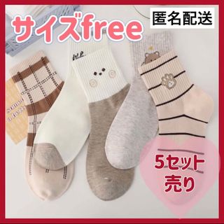 くまちゃん ソックス 5足セット 靴下 アクセサリー レディース(ソックス)