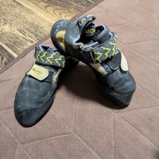 LA SPORTIVA - 新品 LA SPORTIVA Futura 36 フューチュラ の通販 LA SPORTIVA - 新品 LA SPORTIVA Futura 36 フューチュラ の通販