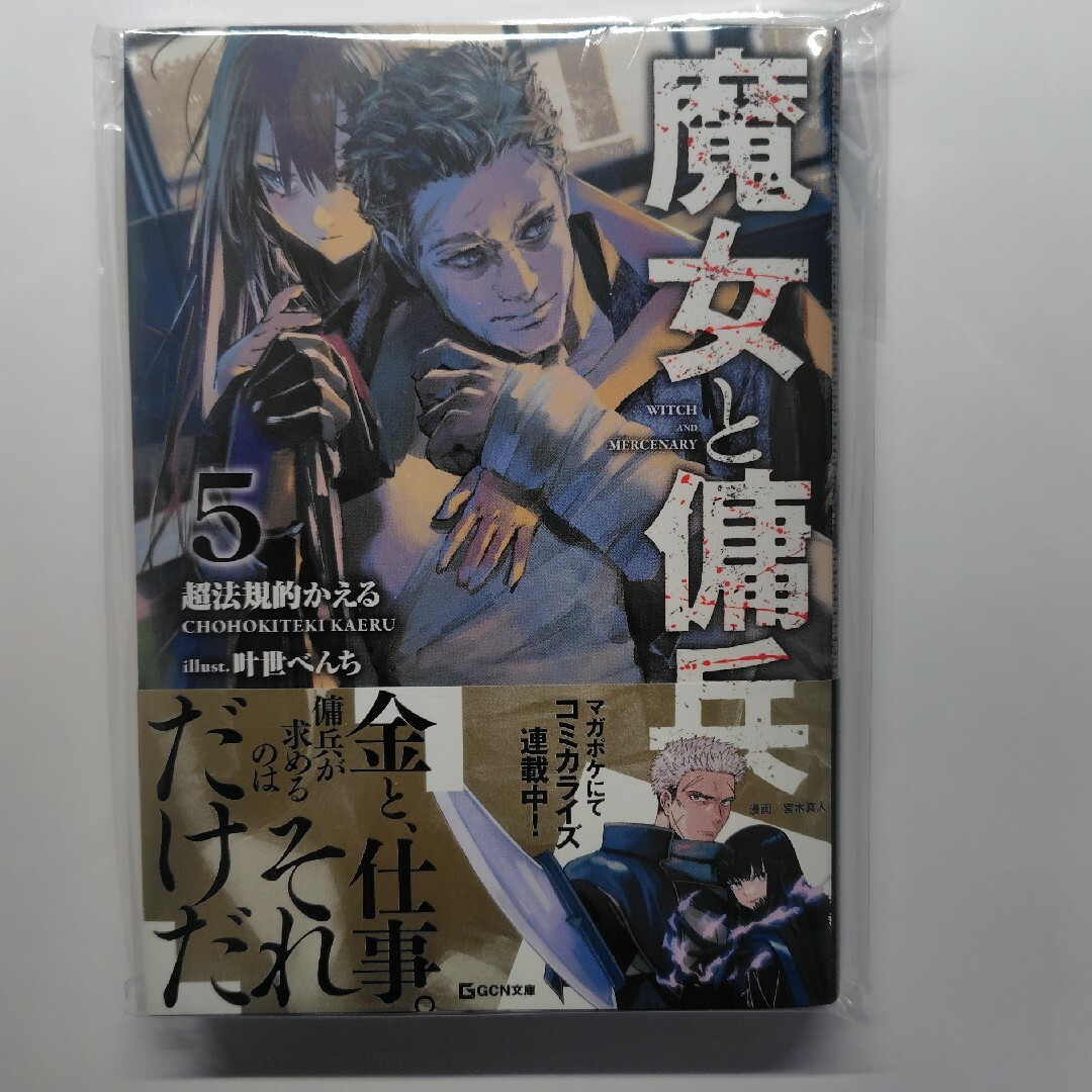 魔女と傭兵 5 エンタメ/ホビーの本(文学/小説)の商品写真