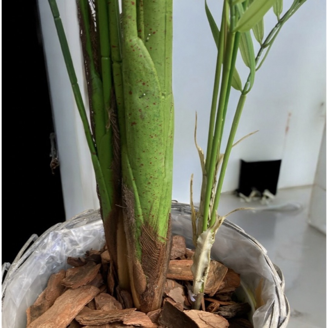 光触媒 人工観葉植物 ウォールグリーン フェイクグリーン 花器付 光触媒 人工観葉植物 ウォールグリーン フェイクグリーン 花器付