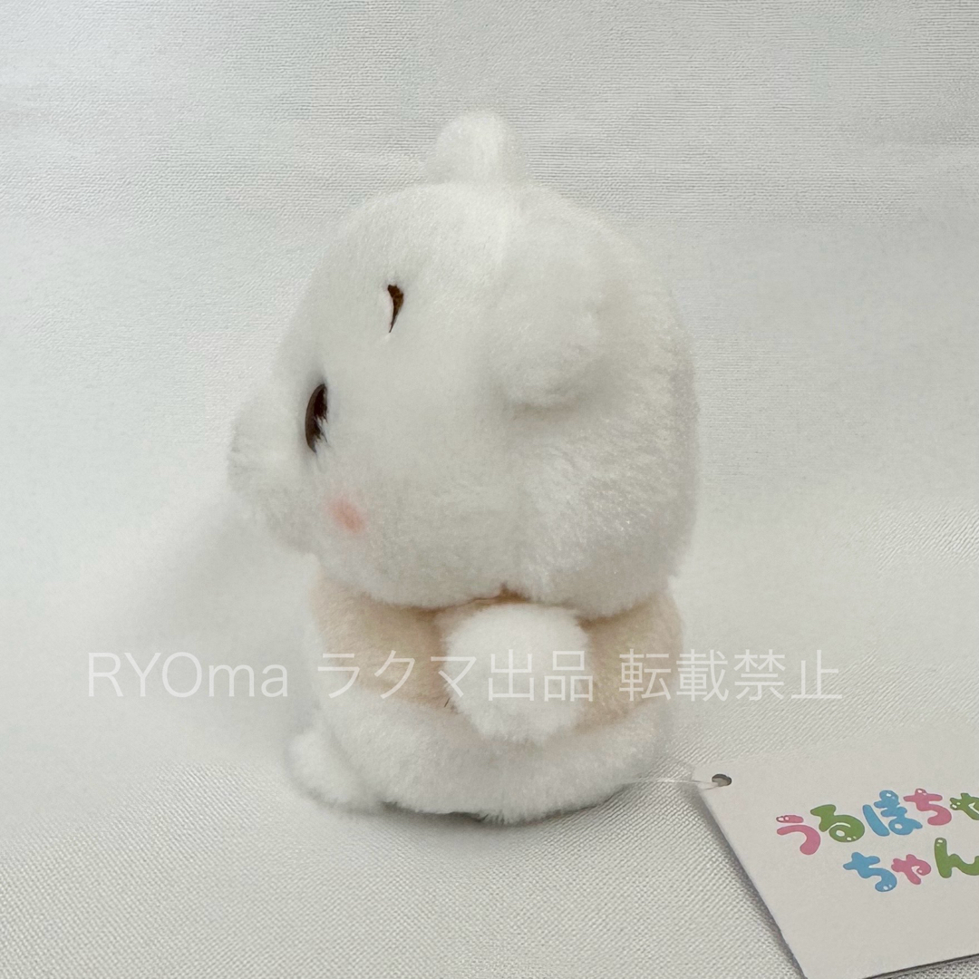 Disney - <新品>プーさん うるぽちゃちゃん ぬいぐるみ ホワイト Disney - <新品>プーさん うるぽちゃちゃん ぬいぐるみ ホワイト