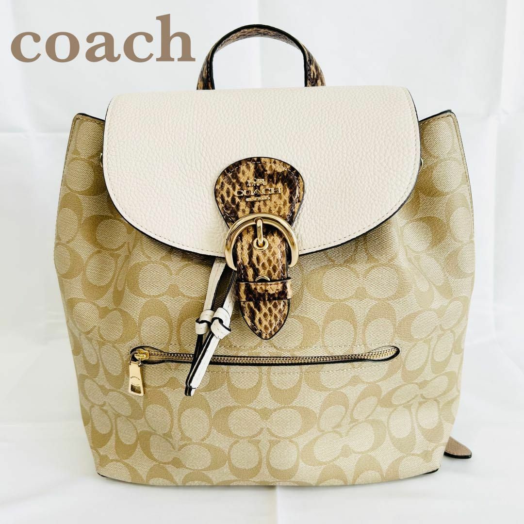 COACH - 美品 コーチ 希少 リュック バックパック シグネチャー COACH - 美品 コーチ 希少 リュック バックパック シグネチャー
