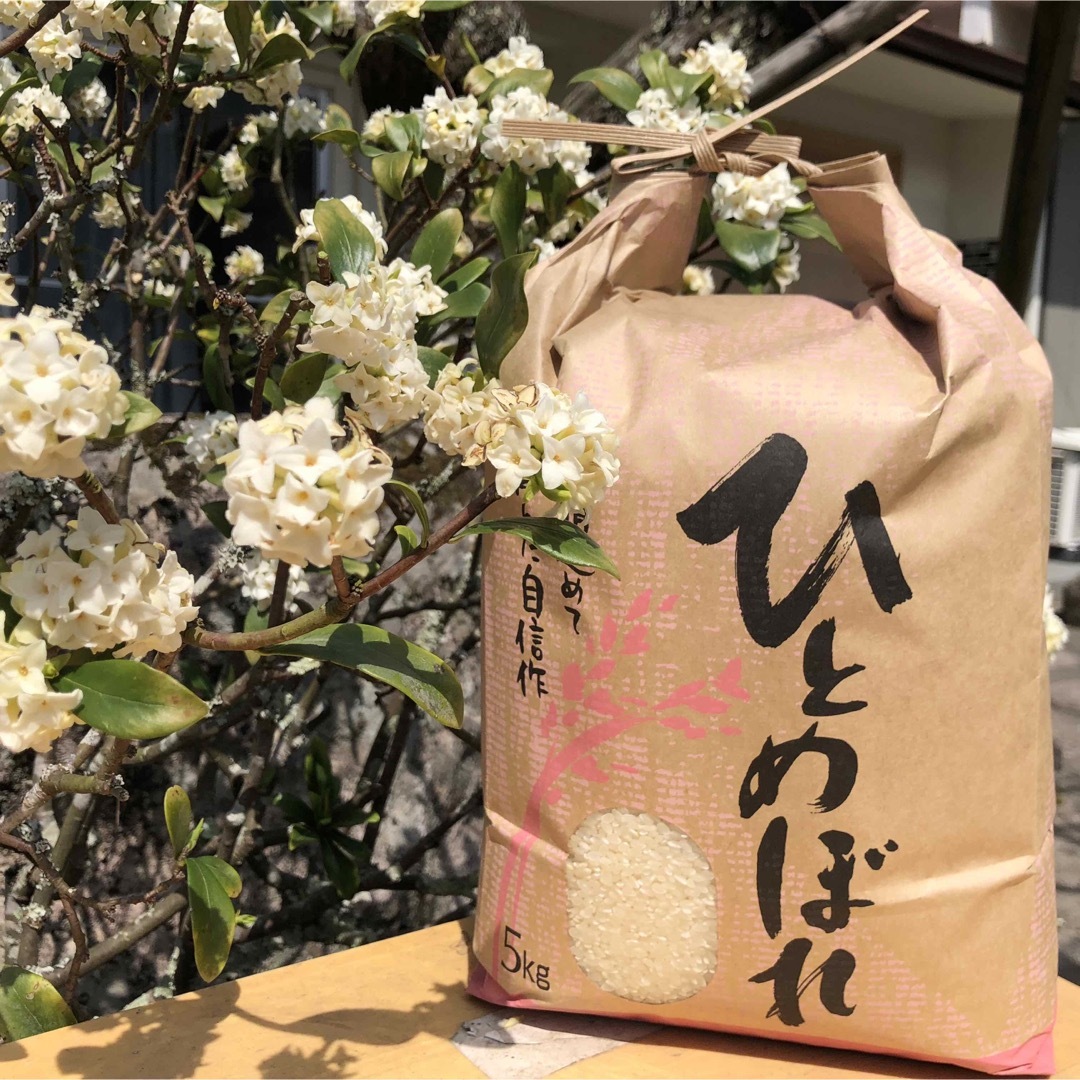 ダンゴ三兄弟様専用【送料無料】 令和6年産 新米『ひとめぼれ』20Kg ダンゴ三兄弟様専用【送料無料】 令和6年産 新米『ひとめぼれ』20Kg