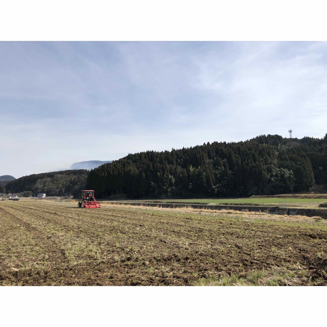 ダンゴ三兄弟様専用【送料無料】 令和6年産 新米『ひとめぼれ』20Kg ダンゴ三兄弟様専用【送料無料】 令和6年産 新米『ひとめぼれ』20Kg