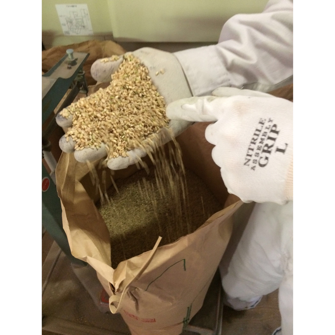 ダンゴ三兄弟様専用【送料無料】 令和6年産 新米『ひとめぼれ』20Kg ダンゴ三兄弟様専用【送料無料】 令和6年産 新米『ひとめぼれ』20Kg