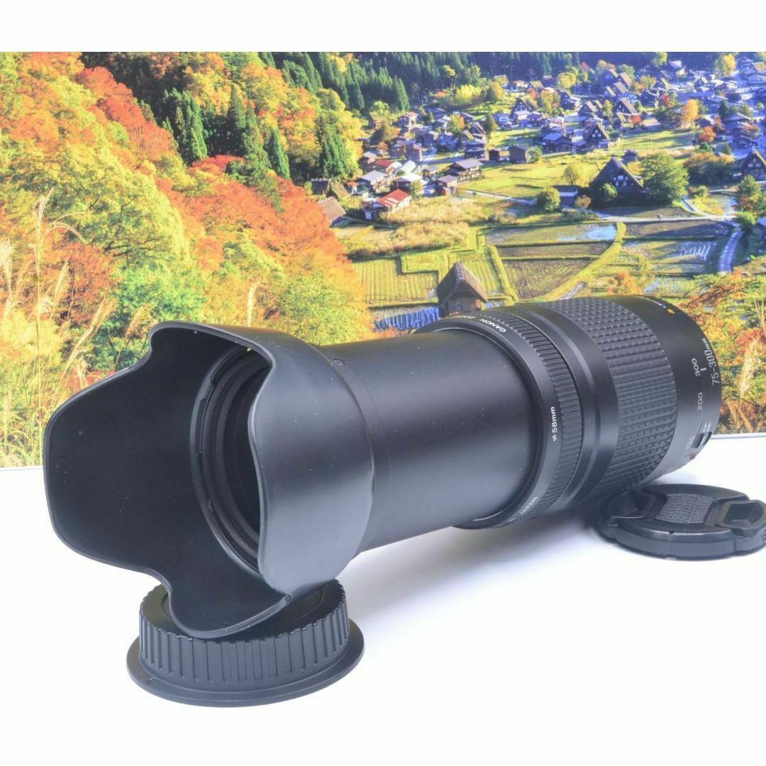 ☆Canon キヤノン 望遠レンズ 迫力の75-300mm この輝きを望遠で ☆Canon キヤノン 望遠レンズ 迫力の75-300mm この輝きを望遠で