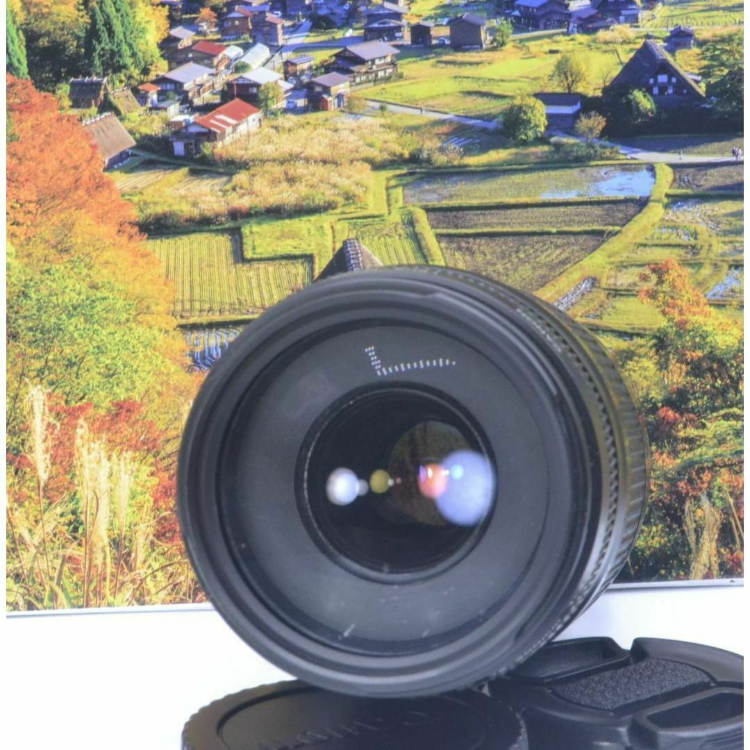 ☆Canon キヤノン 望遠レンズ 迫力の75-300mm この輝きを望遠で ☆Canon キヤノン 望遠レンズ 迫力の75-300mm この輝きを望遠で