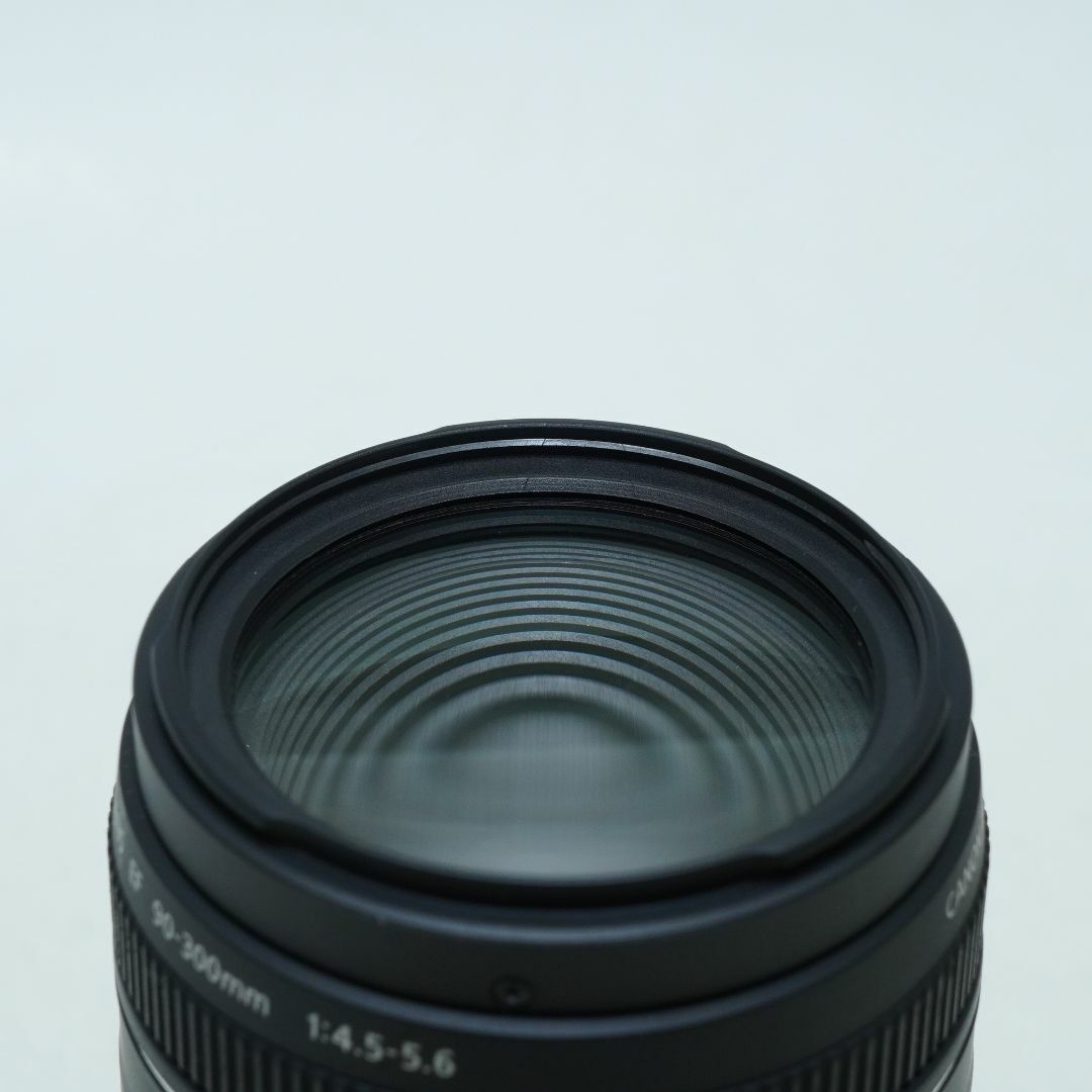 超望遠レンズで狙い撃ち☆キャノン☆EF 90-300mm 4.5-5.6