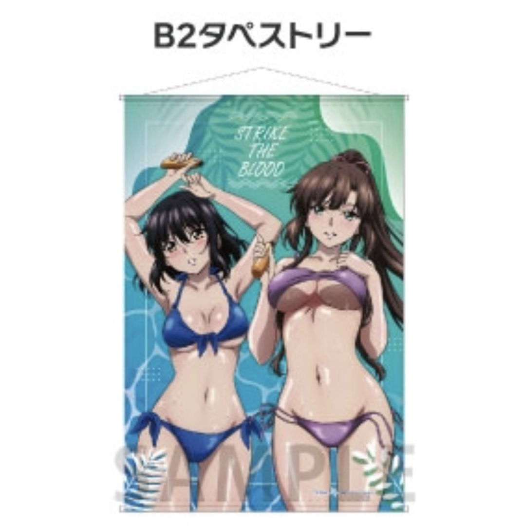 ストライク・ザ・ブラッド 姫柊雪菜 煌坂紗矢華 B2タペストリー ストライク・ザ・ブラッド 姫柊雪菜 煌坂紗矢華 B2タペストリー