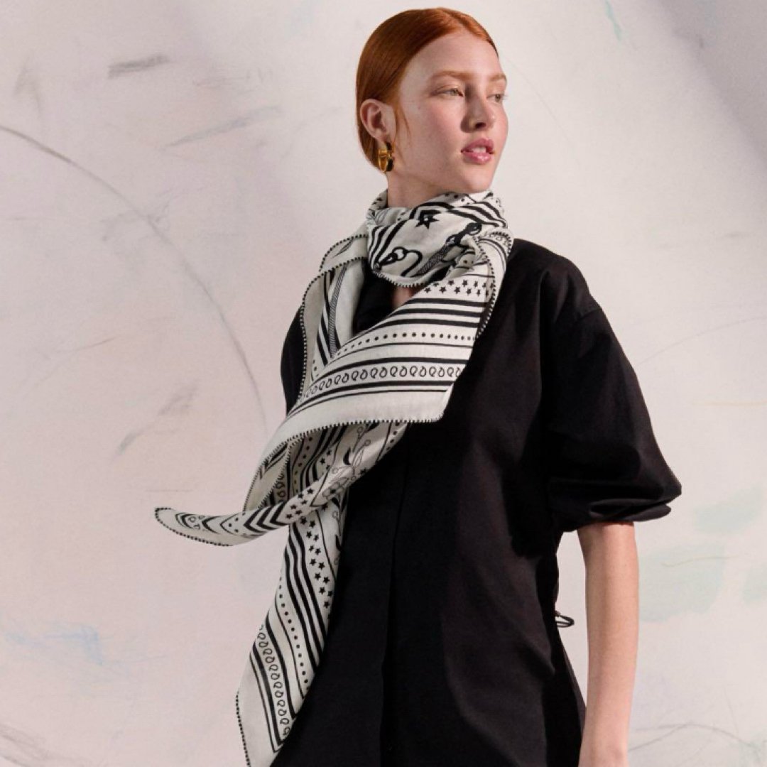 HERMES - 【新品未使用】 エルメス カレジェアン カシシル HERMES - 【新品未使用】 エルメス カレジェアン カシシル