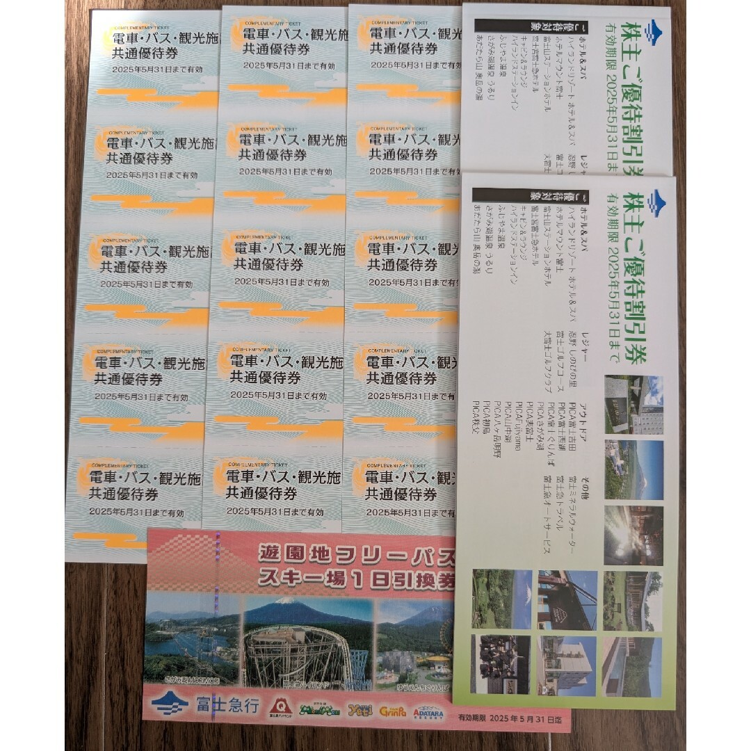 富士急行 株主優待 富士急ハイランド4名様分相当 富士急行 株主優待 富士急ハイランド4名様分相当