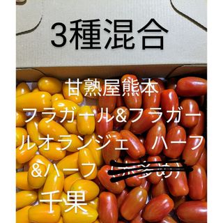 3種混合ミニトマトフラガールフラガールオランジェ千果樹　1kg(野菜)