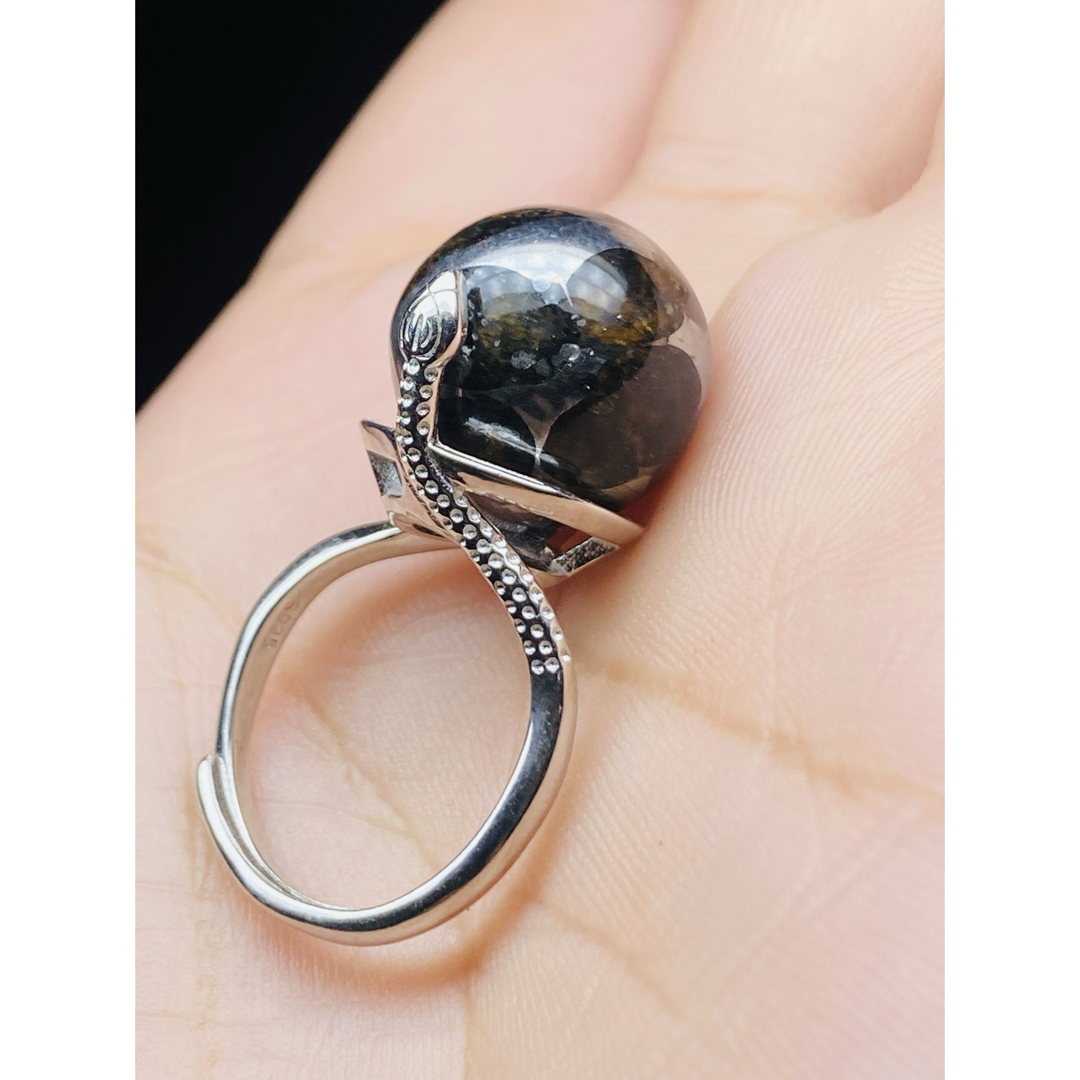 パラサイト隕石 指輪360回転 15.5㍉ サイズ調整可能 セリコ隕石 隕石 レディースのアクセサリー(リング(指輪))の商品写真