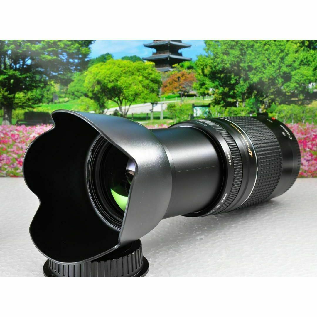 ✨望遠レンズ✨Canon レンズ EF 75-300mm 香しい Ⅲ ✨望遠レンズ✨Canon レンズ EF 75-300mm 香しい Ⅲ
