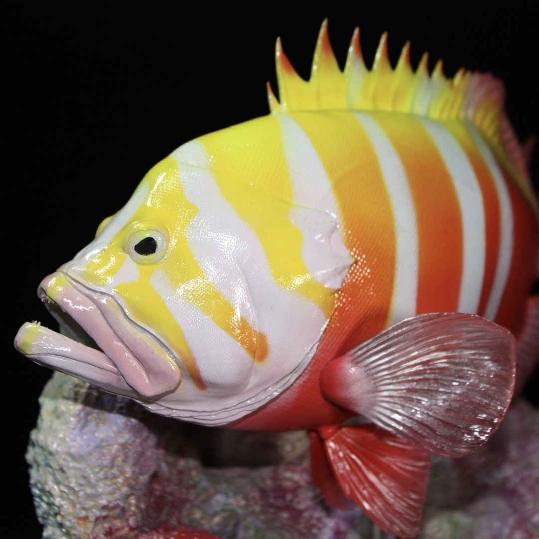 シマハタ フィギュア 魚寸25cm その他 シマハタ フィギュア 魚寸25cm その他