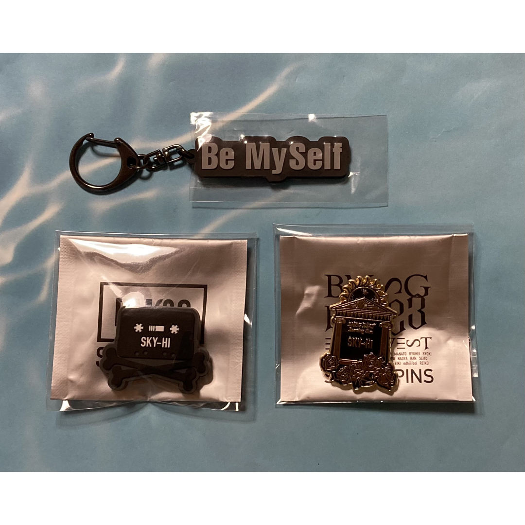 SKYHi(スカイハイ)のBMSG FES'22 '23 ピンズ SKY-HI/キーホルダー オマケ付き エンタメ/ホビーのタレントグッズ(ミュージシャン)の商品写真