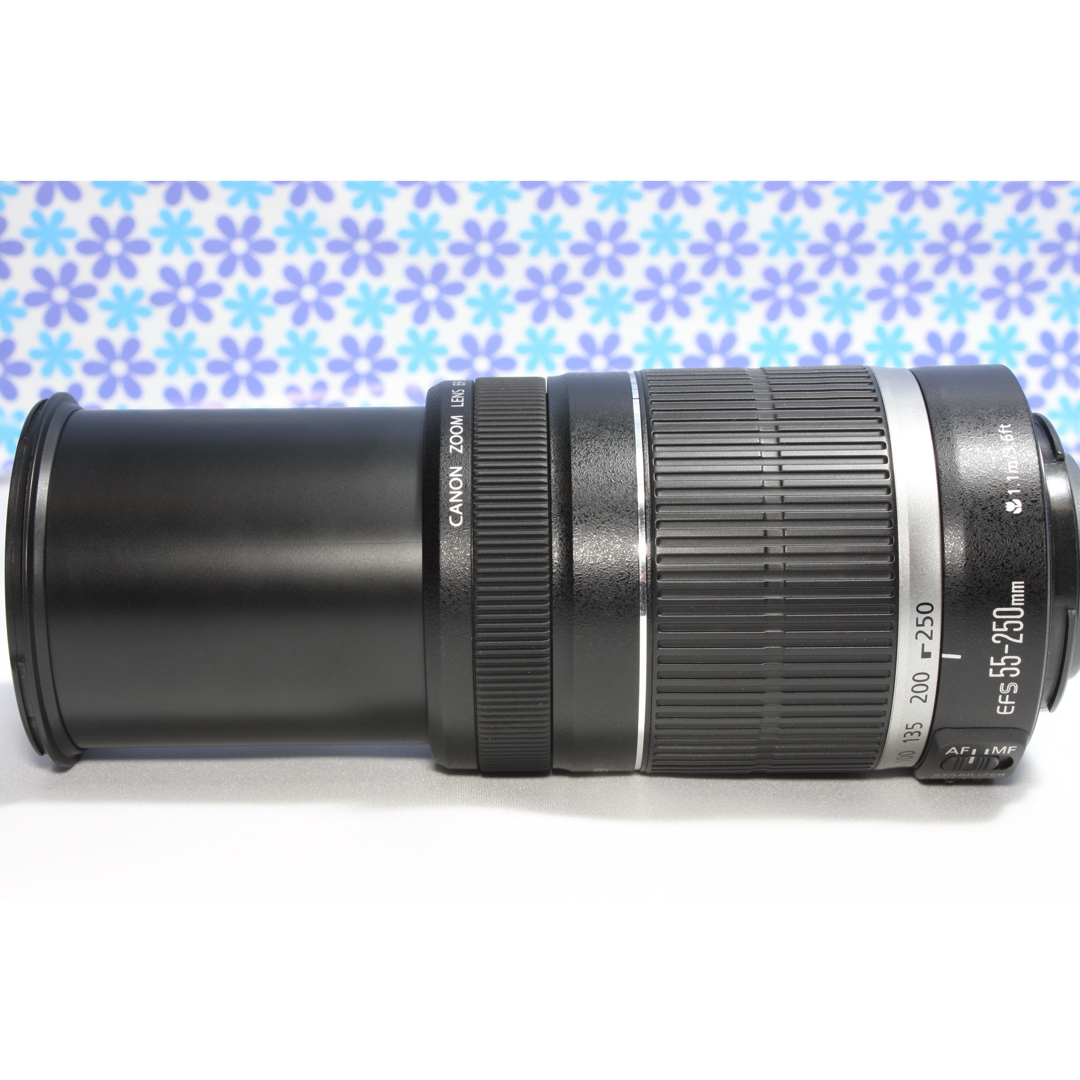 極美品☆Canon EF-S 55-250mm IS☆望遠レンズ☆手振れ補正☆ 極美品☆Canon EF-S 55-250mm IS☆望遠レンズ☆手振れ補正☆