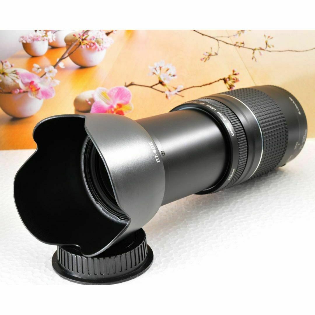 Canon キヤノン 望遠レンズEF75-300mm ☆永久保存、瞬間激写! Canon キヤノン 望遠レンズEF75-300mm ☆永久保存、瞬間激写!