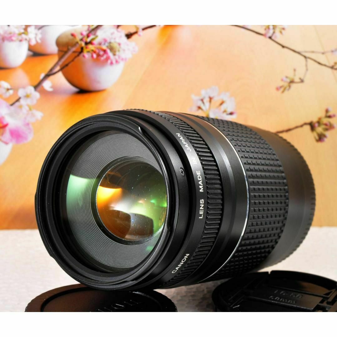 Canon キヤノン 望遠レンズEF75-300mm ☆永久保存、瞬間激写! Canon キヤノン 望遠レンズEF75-300mm ☆永久保存、瞬間激写!