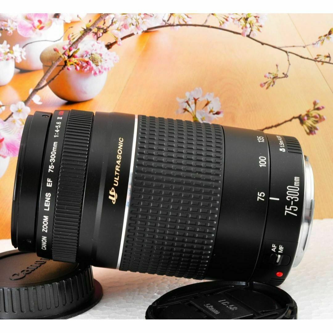 Canon キヤノン 望遠レンズEF75-300mm ☆永久保存、瞬間激写! Canon キヤノン 望遠レンズEF75-300mm ☆永久保存、瞬間激写!