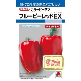 野菜の種【カラーピーマン】フルーピーレッドEX(野菜)