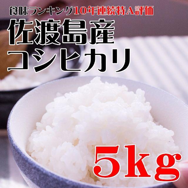 28年産 かまなくても甘い 幻のお米 たまもの米 新潟県佐渡産コシヒカリ 5kg 食品/飲料/酒の食品(米/穀物)の商品写真