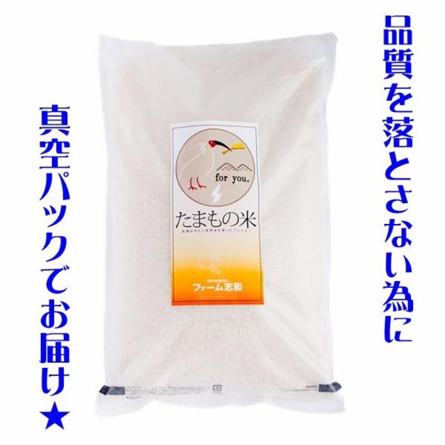 28年産 かまなくても甘い 幻のお米 たまもの米 新潟県佐渡産コシヒカリ 5kg 食品/飲料/酒の食品(米/穀物)の商品写真