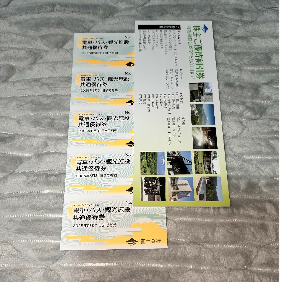 富士急行 株主優待券 チケットの施設利用券(遊園地/テーマパーク)の商品写真