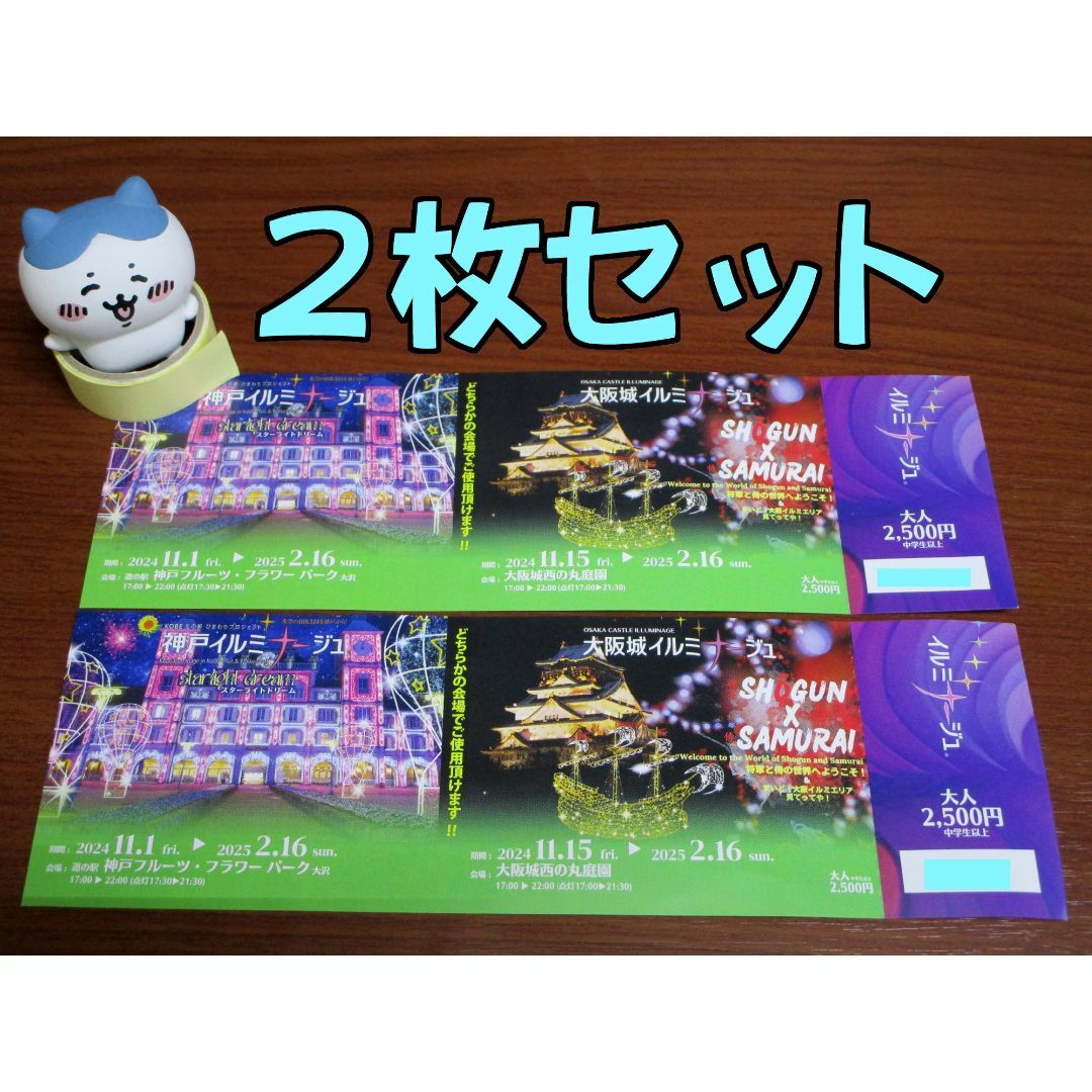 ペア★イルミナージュ 大人 (神戸・大阪共通) 優先入場券★#1206 チケットのイベント(その他)の商品写真