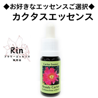 ♡お好きなエッセンスご選択♡コルテPHIエッセンス カクタスさぼてんエッセンス(グラス/カップ)