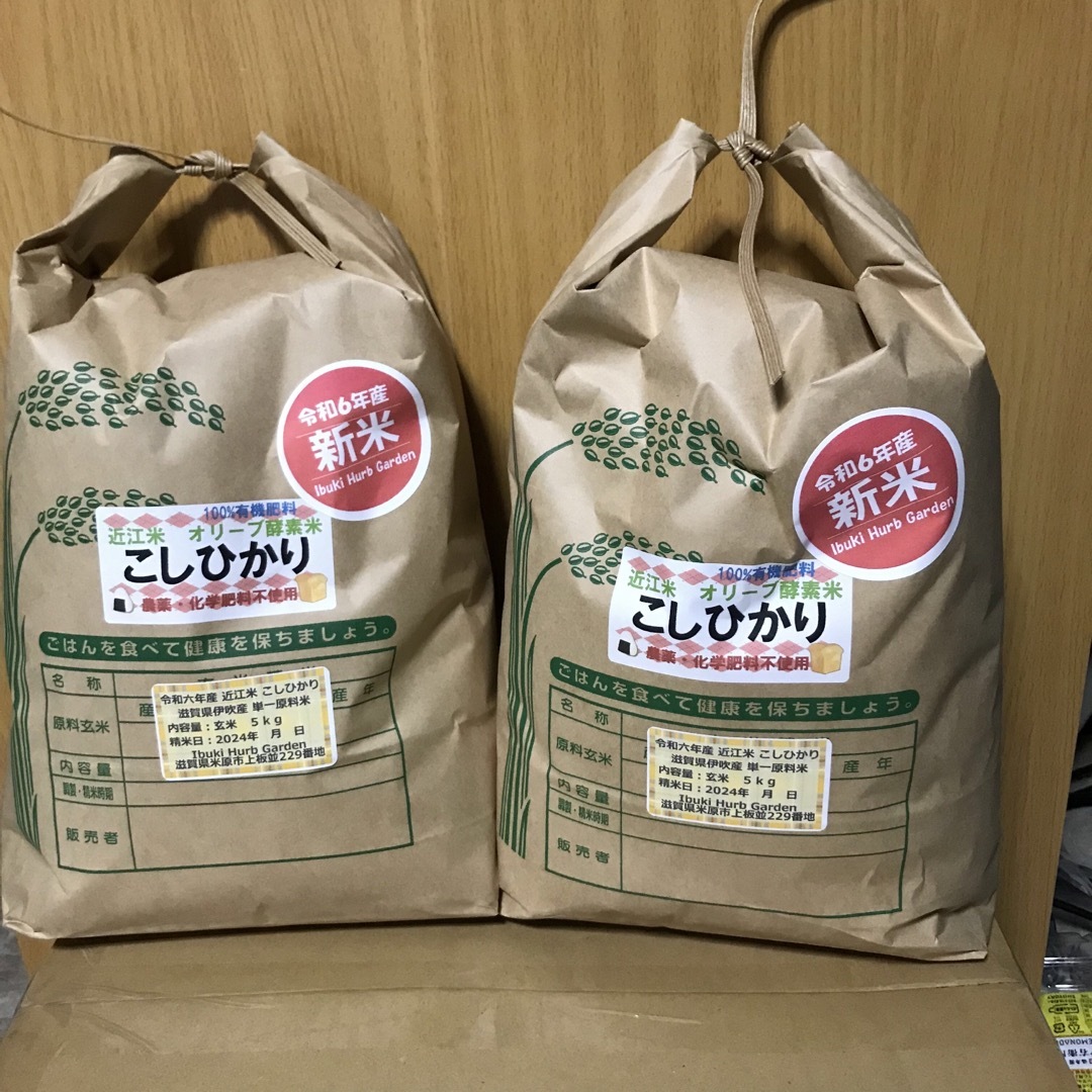 令和六年産 無農薬 近江米コシヒカリ オリーブ酵素米白米10キロ 令和六年産 無農薬 近江米コシヒカリ オリーブ酵素米白米10キロ