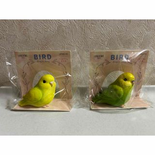 セキセイインコ　ミニオブジェ　置物　(置物)