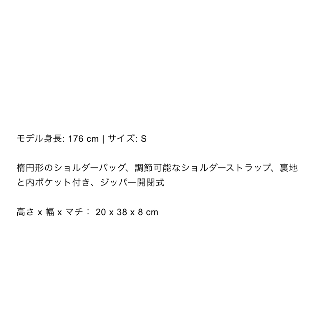 ZARA - 完売品 新品タグ付き ZARA オーバルバッグ ボルドー ZARA - 完売品 新品タグ付き ZARA オーバルバッグ ボルドー